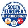 logo SCELTA EUROPEA