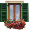 finestra di una casa con davanzale fiorito