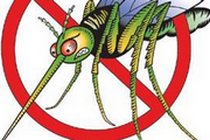 disegno di una zanzara all'interno di un segnale di divieto