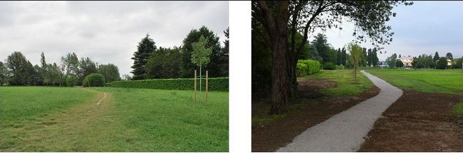 Realizzazione sentiero di collegamento tra il laghetto e il percorso pedonale di via Colombo e realizzazione di un filare arboreo.
